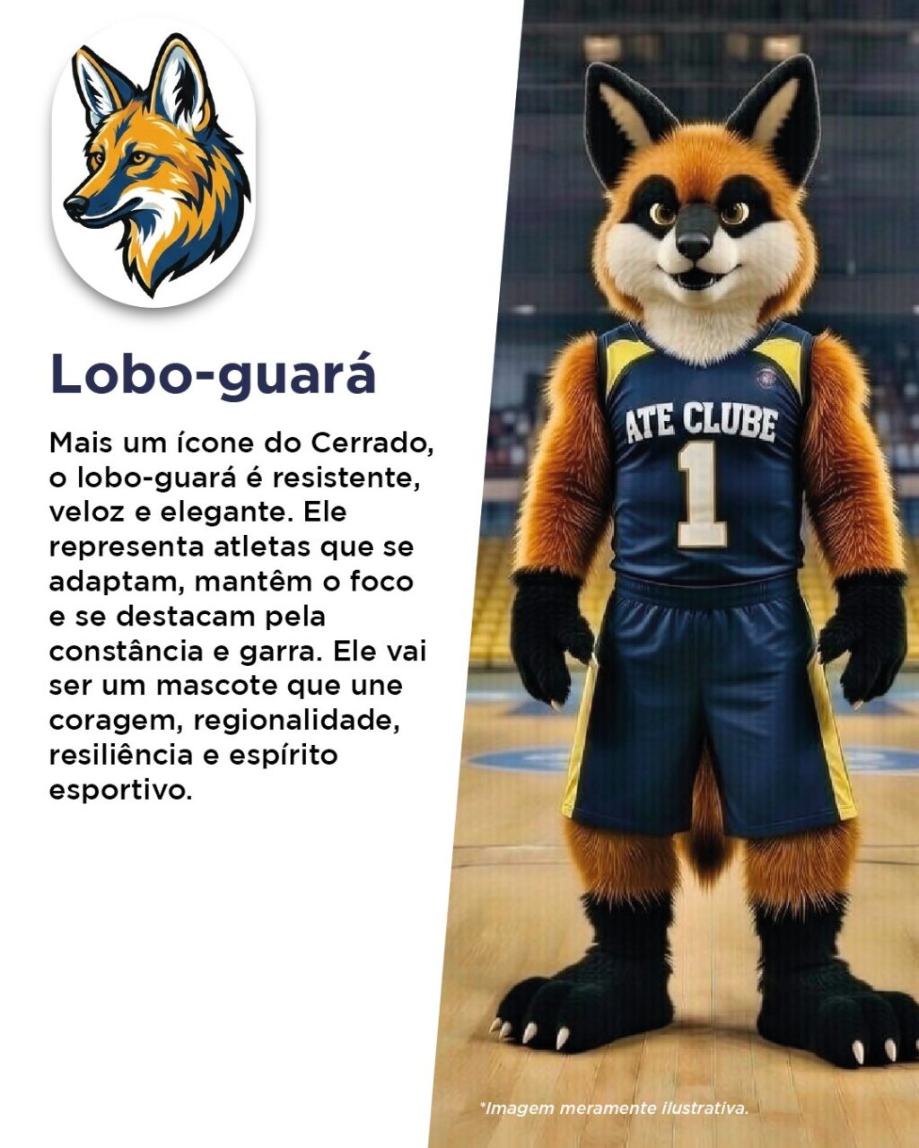 Instagram post from iatebsb. This post is in position 5.