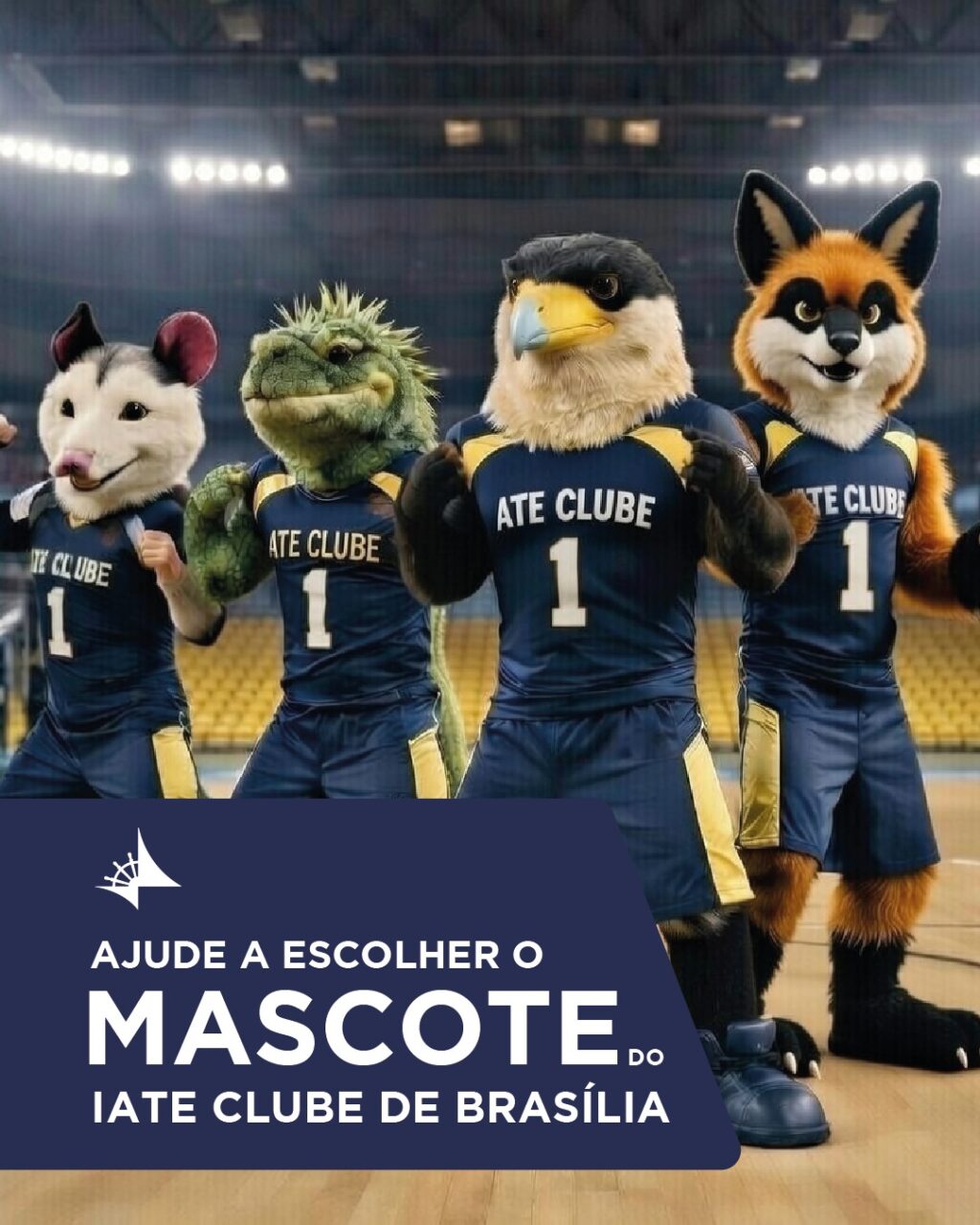 Instagram post from iatebsb. This post is in position 0.