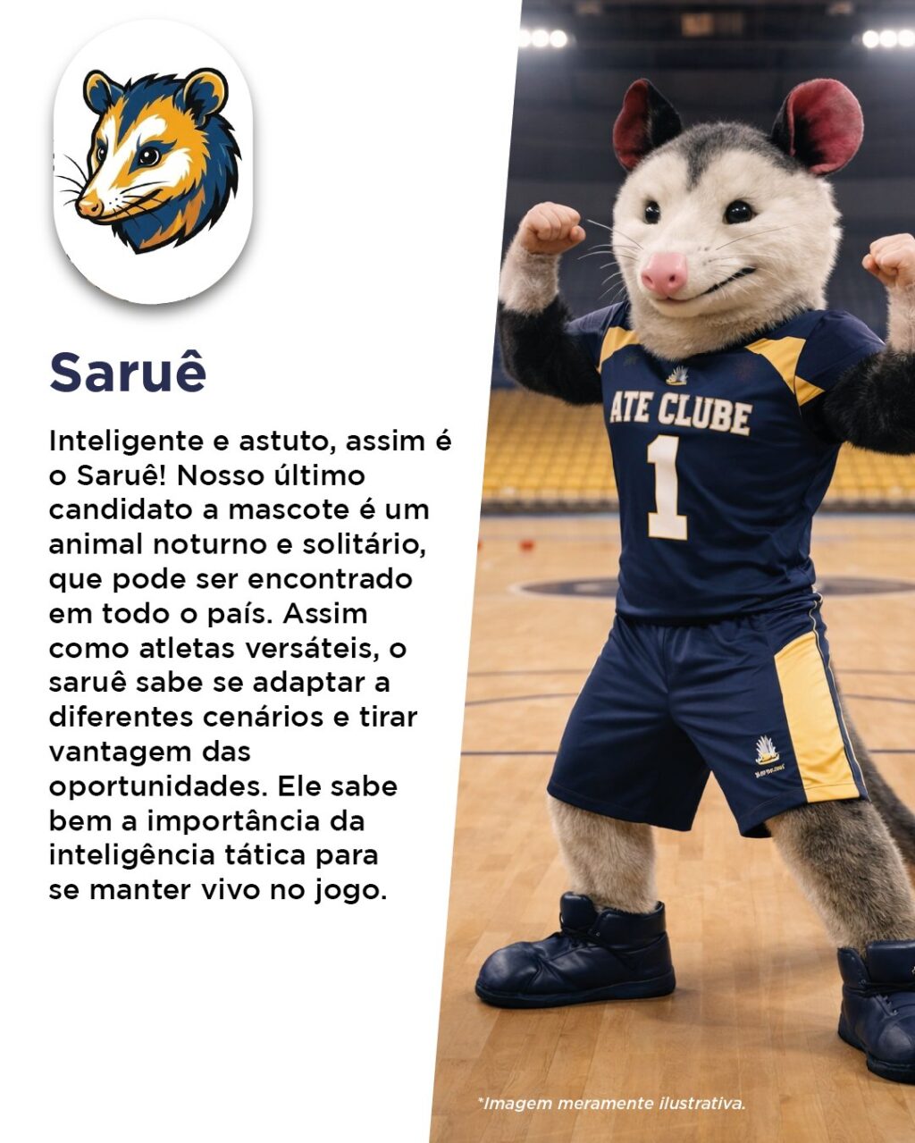 Instagram post from iatebsb. This post is in position 6.