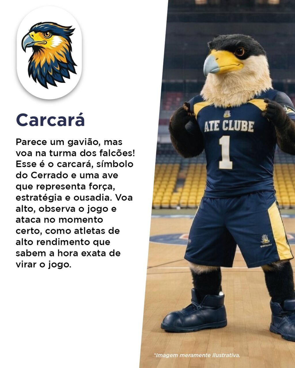 Instagram post from iatebsb. This post is in position 4.