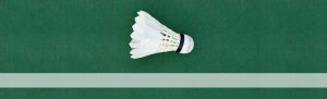 parabadminton