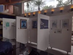 Cultural promove exposição com obras de Márcia Valle